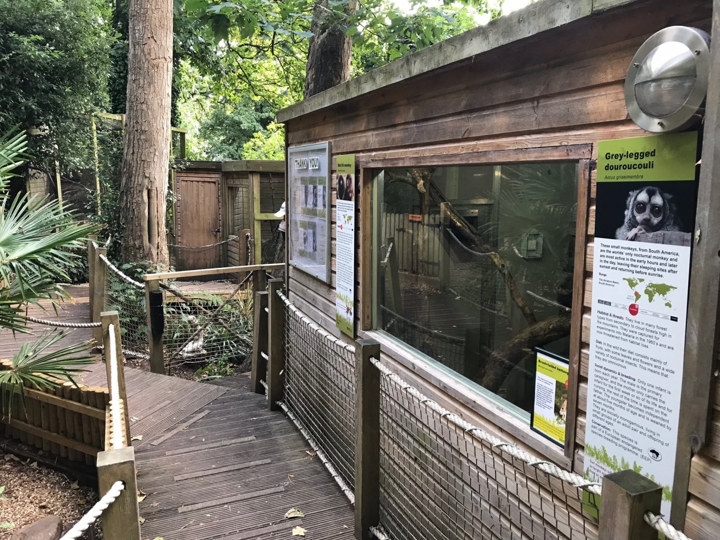 Part of douroucouli and titi enclosure 150918