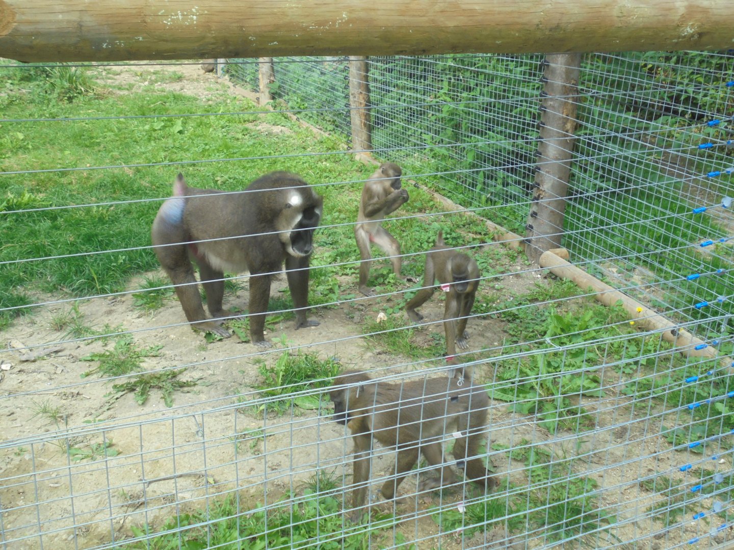 Part of Drill group outdoors.