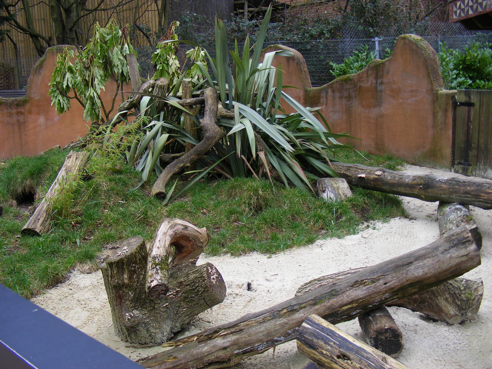Part of dwarf mongoose enclosure at Chessington Zoo, 6 February 2011