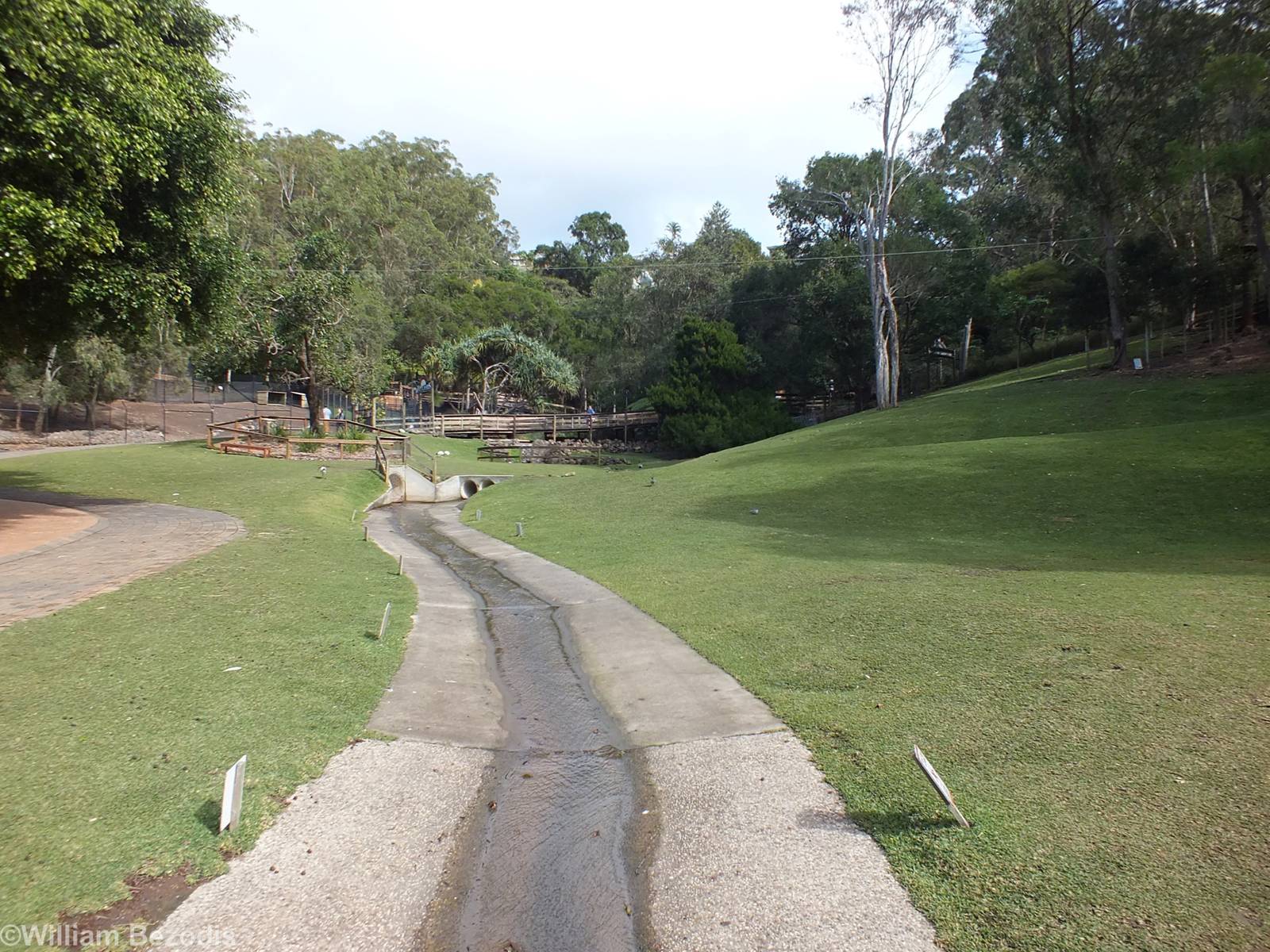 Part of Eastern Grey Kangaroo Walkthrough Enclosure