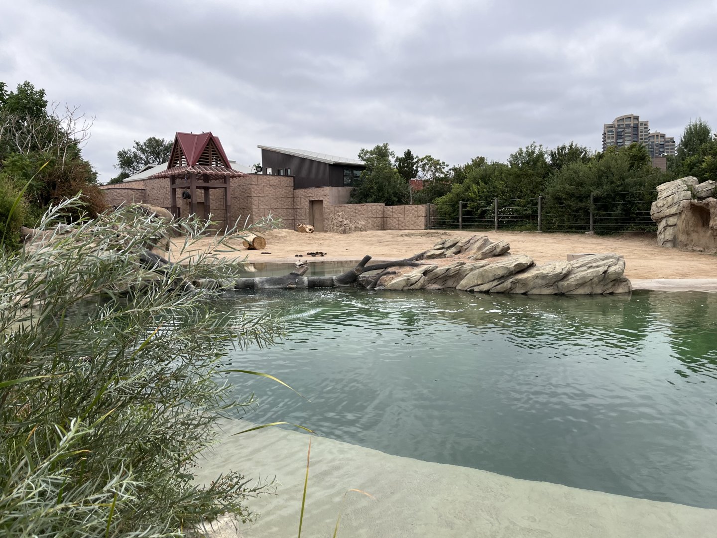 part of elephant complex