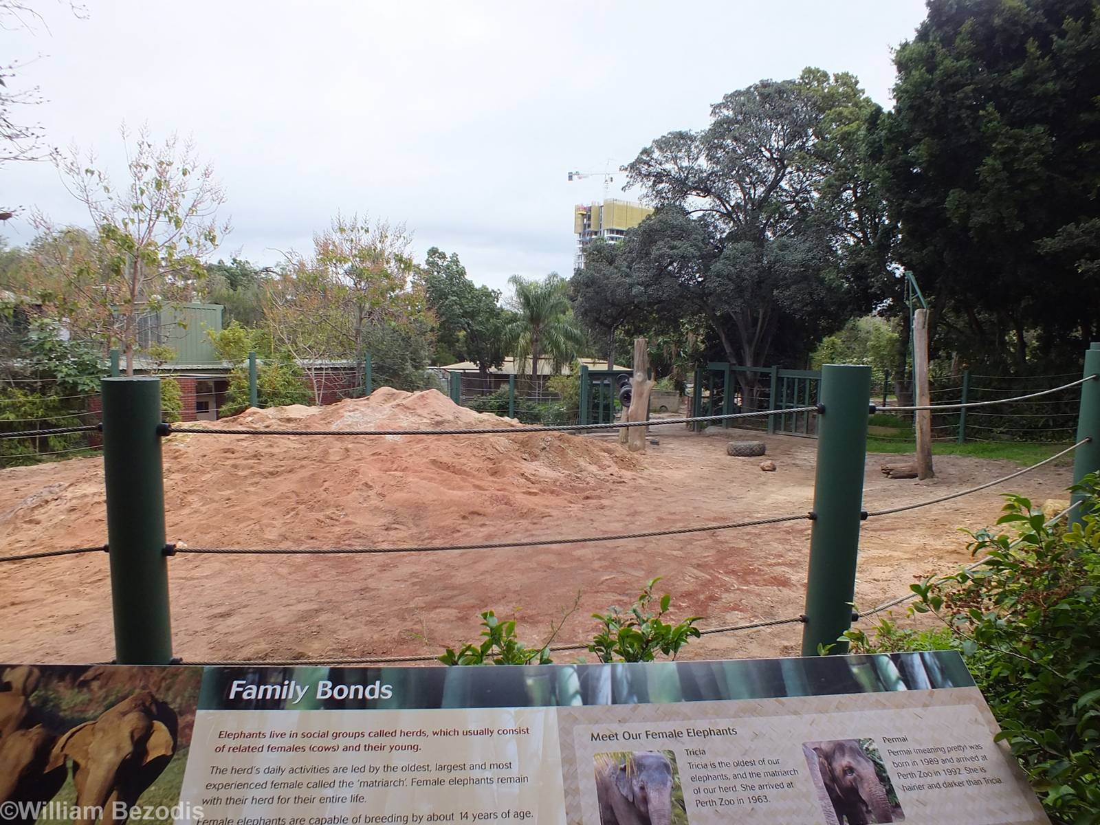 Part of Elephant Enclosure