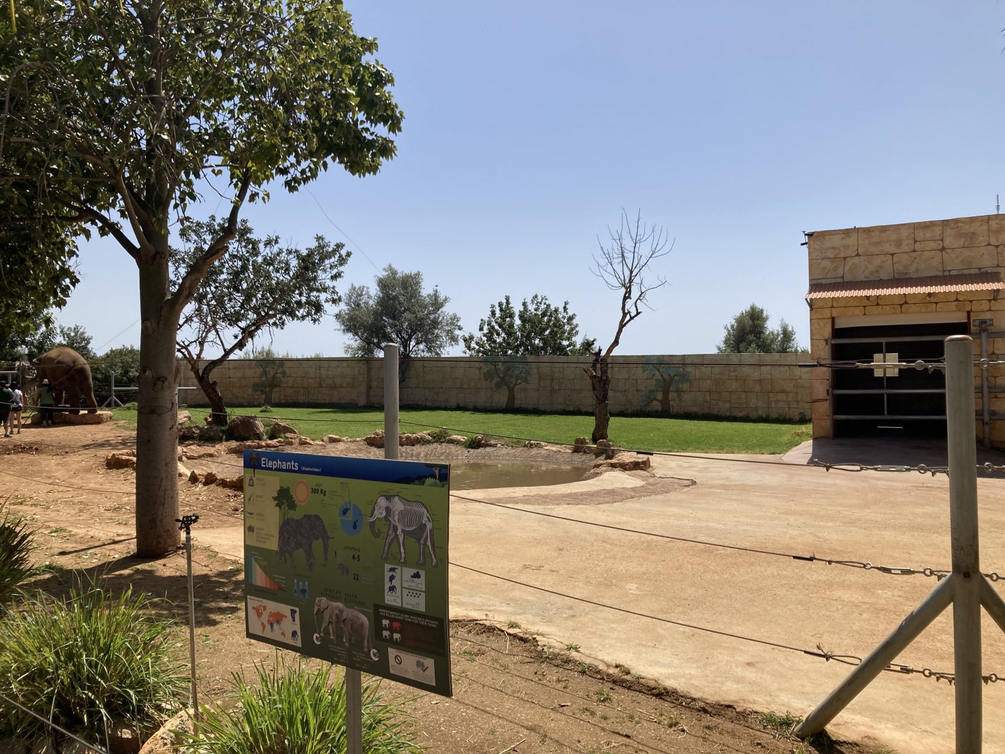 Part of elephant enclosure