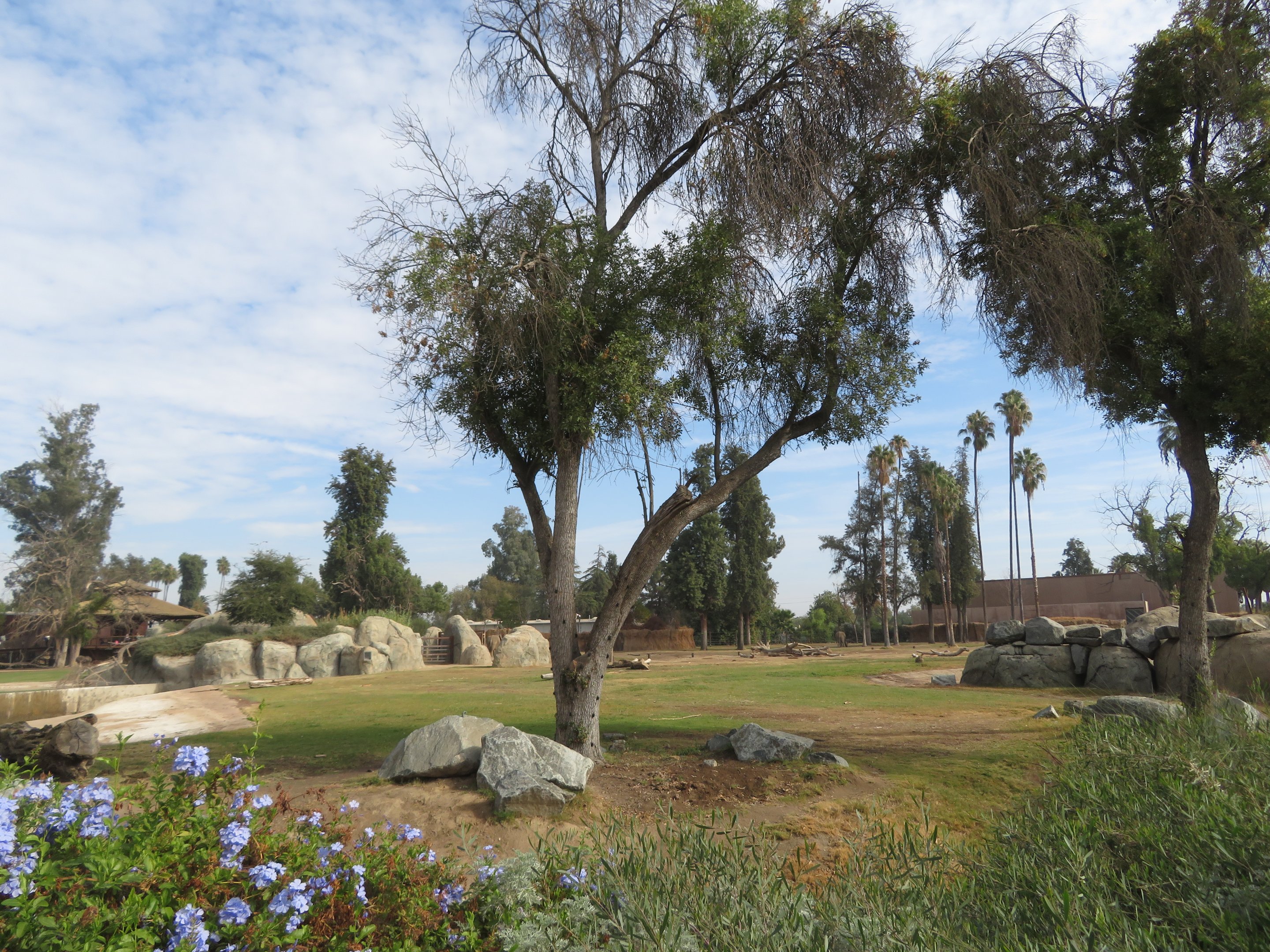 Part of Elephant Exhibit
