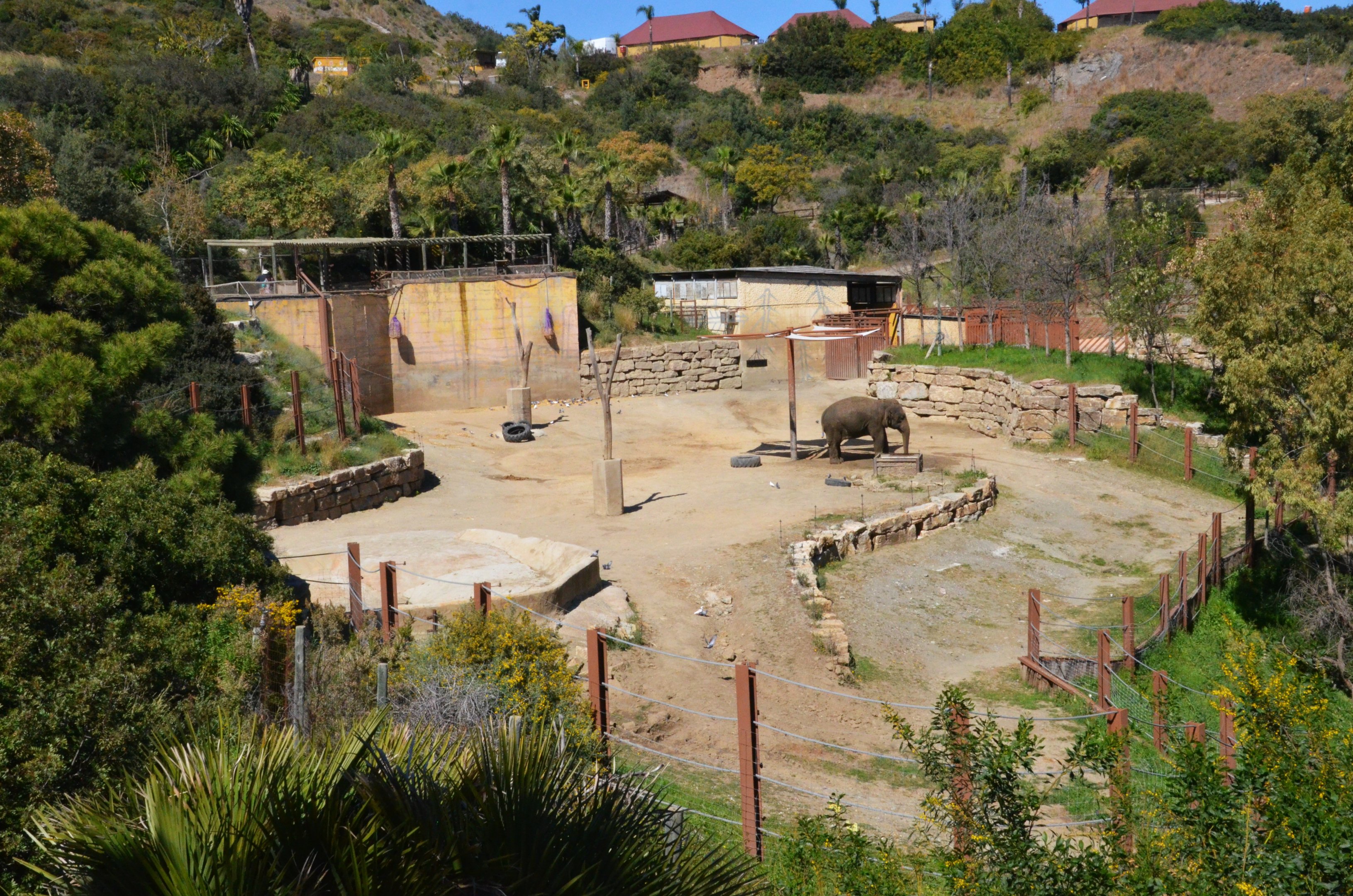 Part of Elephant Paddock at Selwo Aventura, 13/03/19