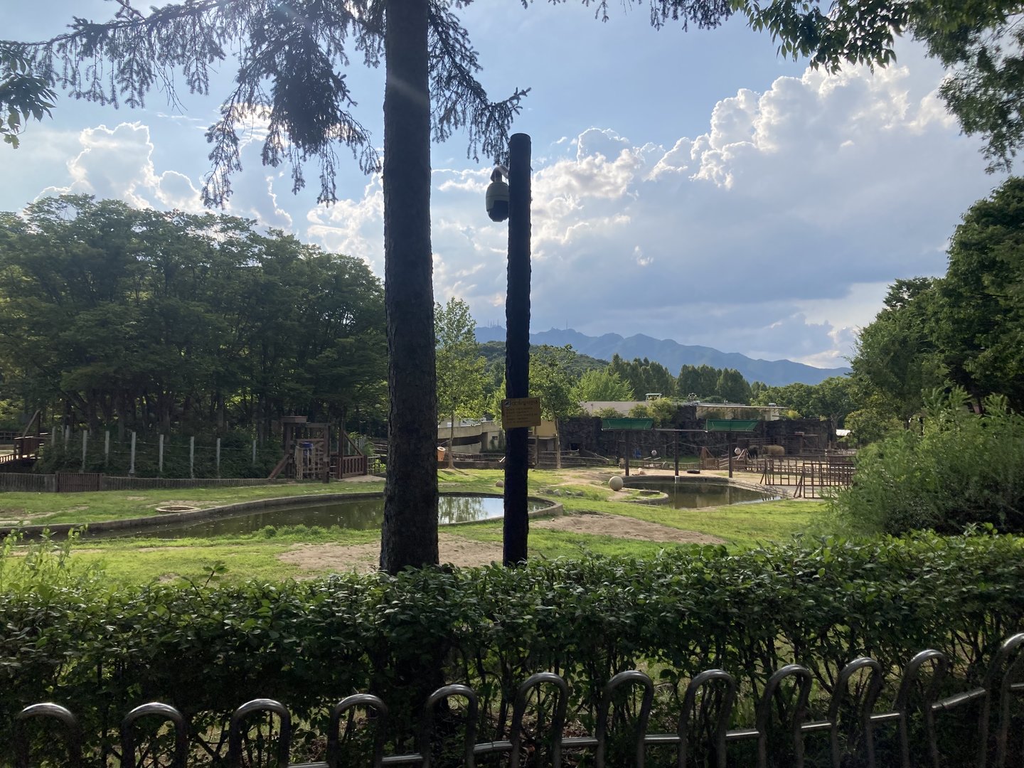 Part of elephant paddock