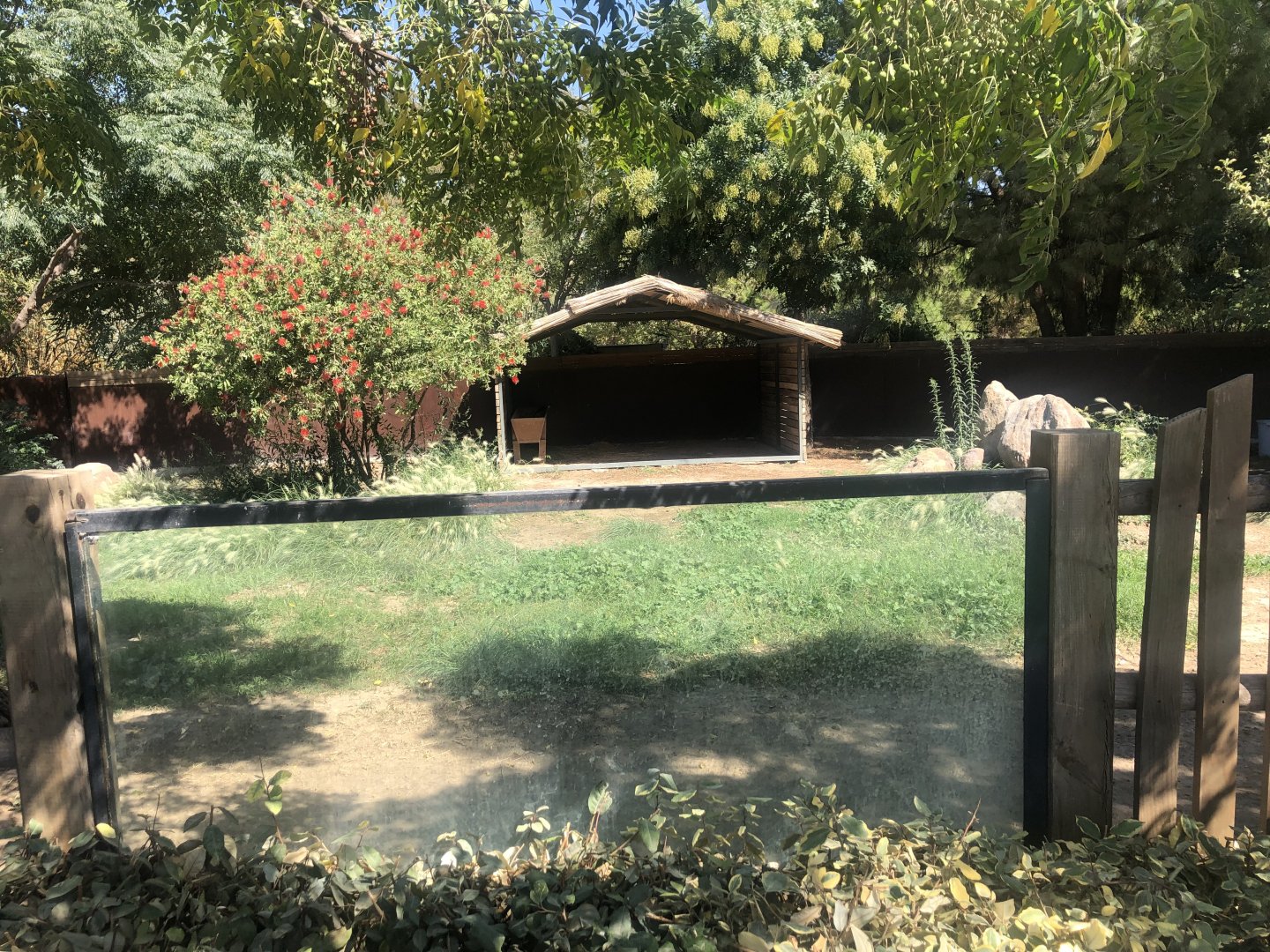 Part of Emu enclosure