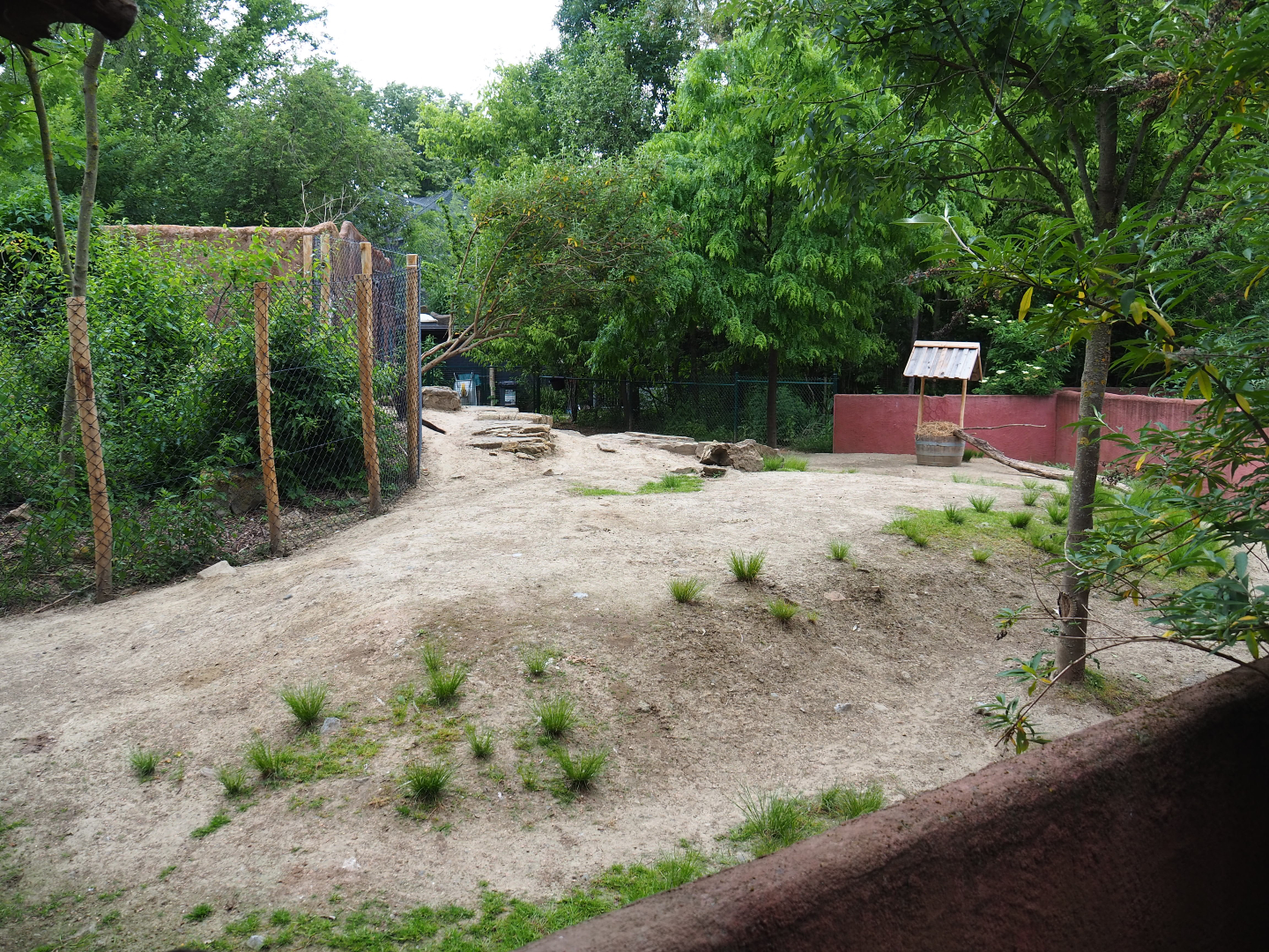 Part of Emu, Red kangaroo and Swamp wallaby paddock, 2020-05-23