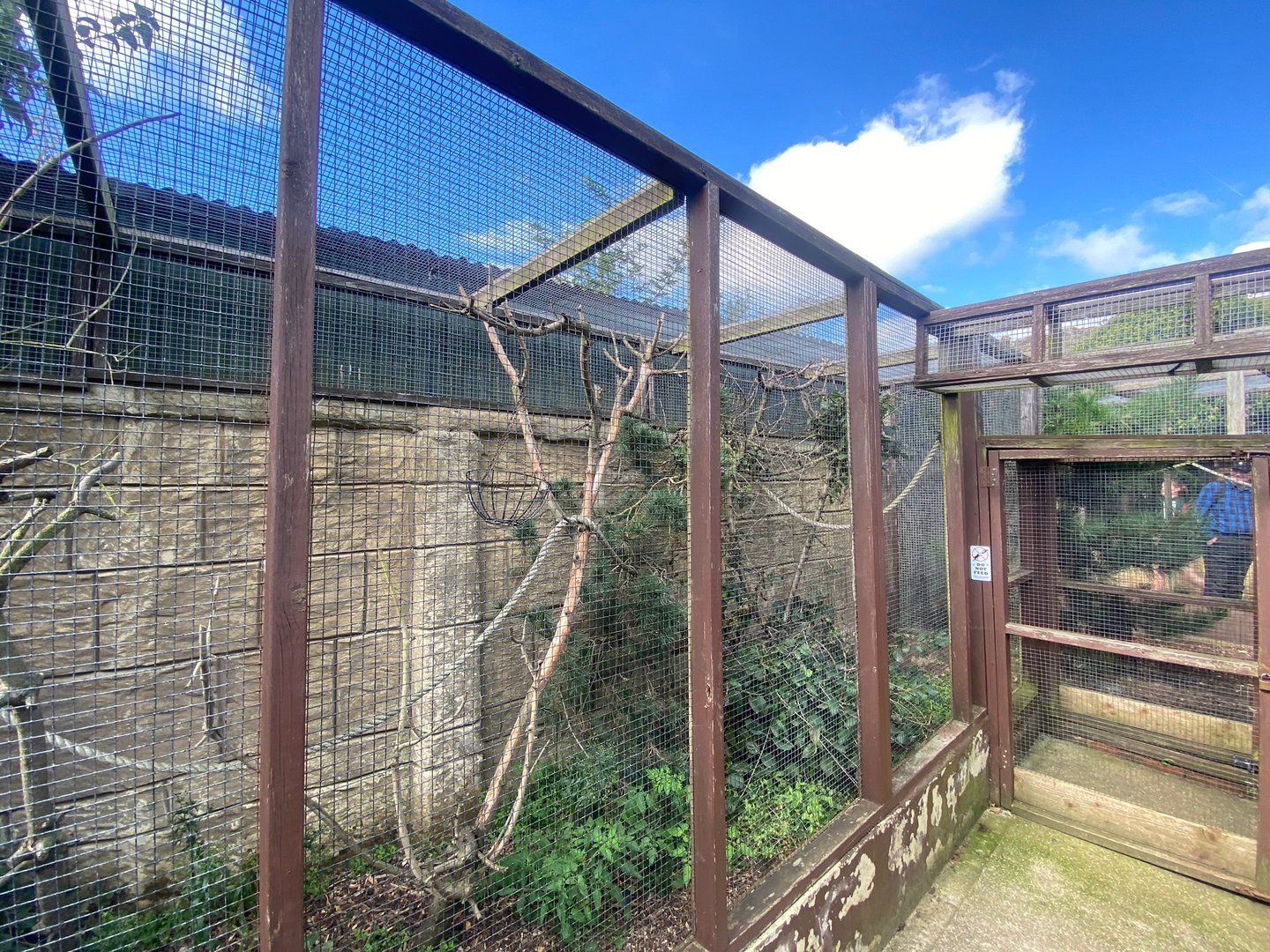 Part of enclosure for Red titi and Red-bellied tamarin 140923