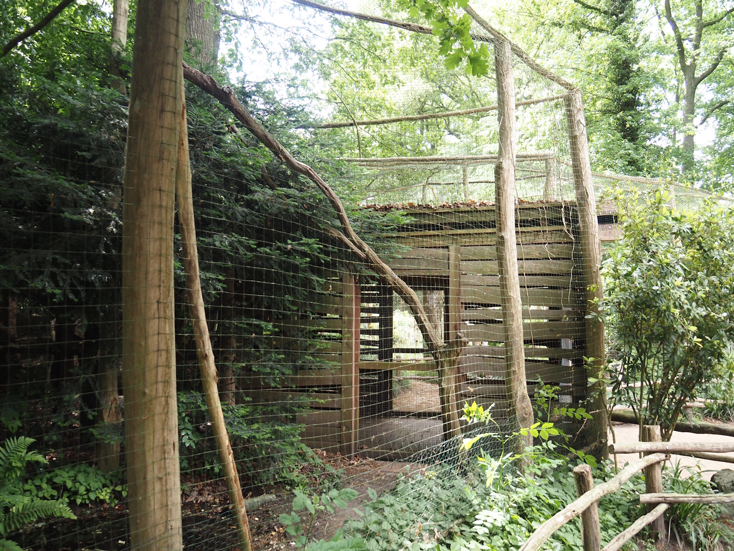 Part of Eurasian eagle owl aviary and part of viewing area, 2025-05-22