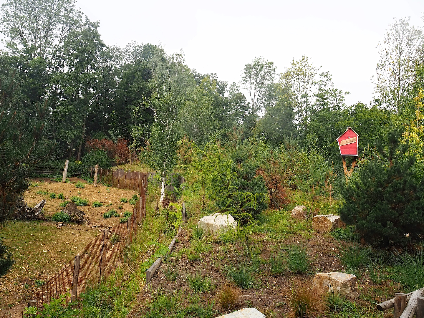 Part of Eurasian forest reindeer exhibit and elevated planted area between reindeer exhibit and Pampas exhibit, 2022-08-20