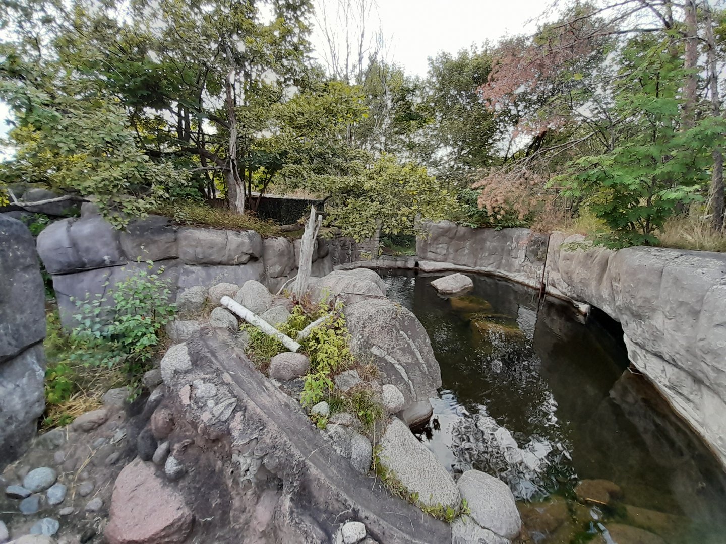 Part of Eurasian otter enclosure