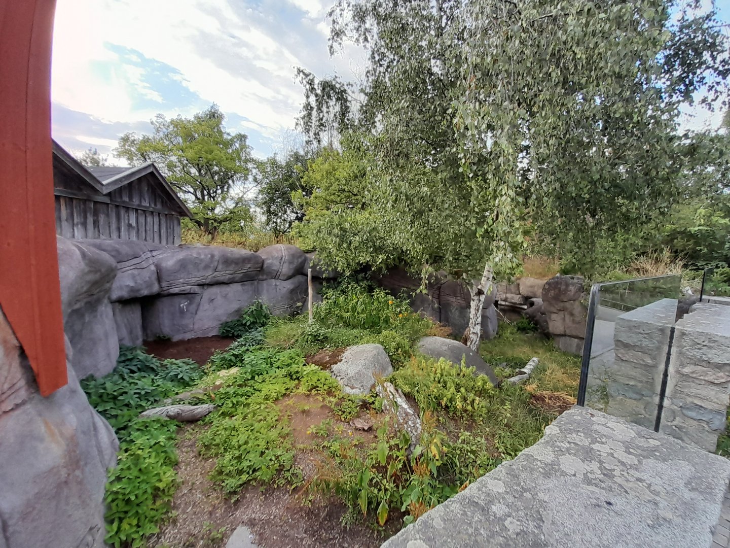 Part of Eurasian otter enclosure
