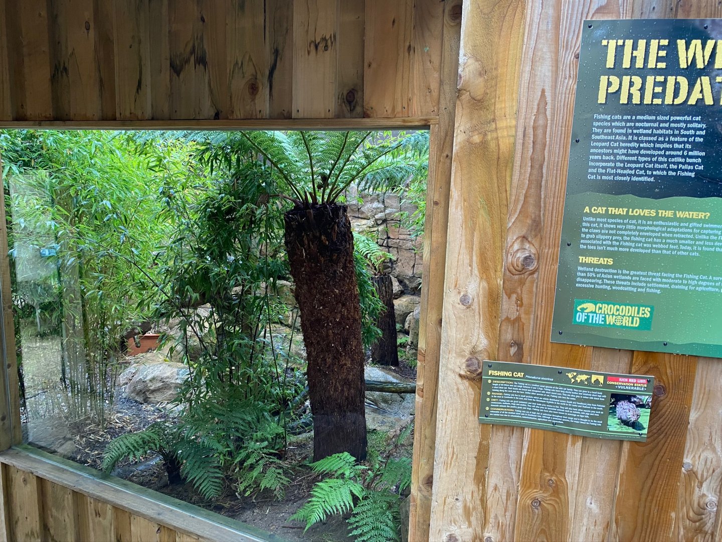 Part of Fishing cat enclosure 231119