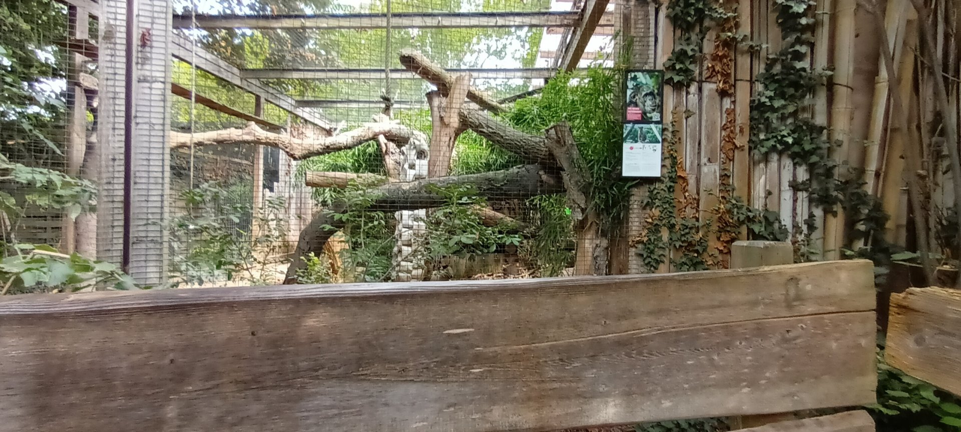 part of Fossa enclosure