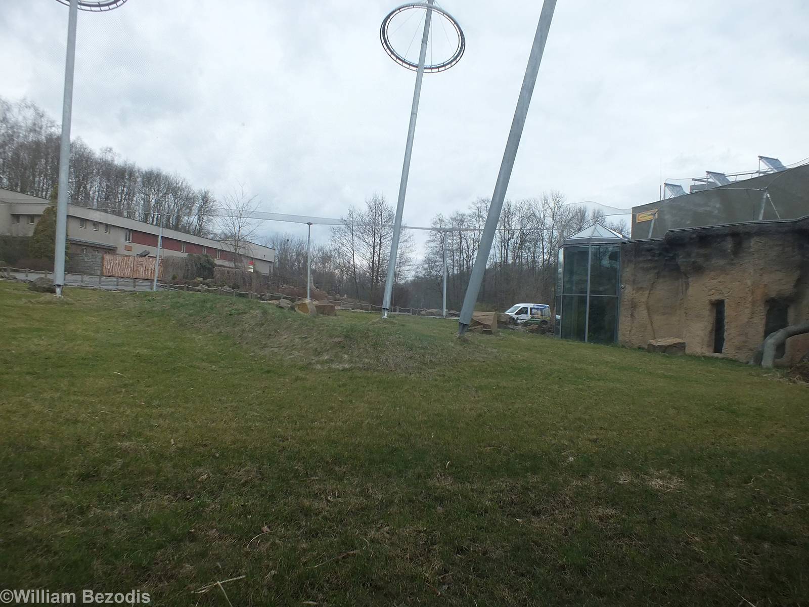 Part of Future Enclosure for Chimps