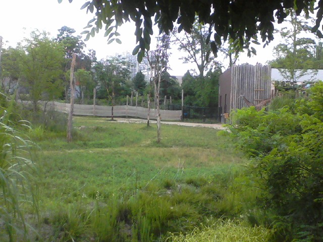 Part of Giraffe Ridge