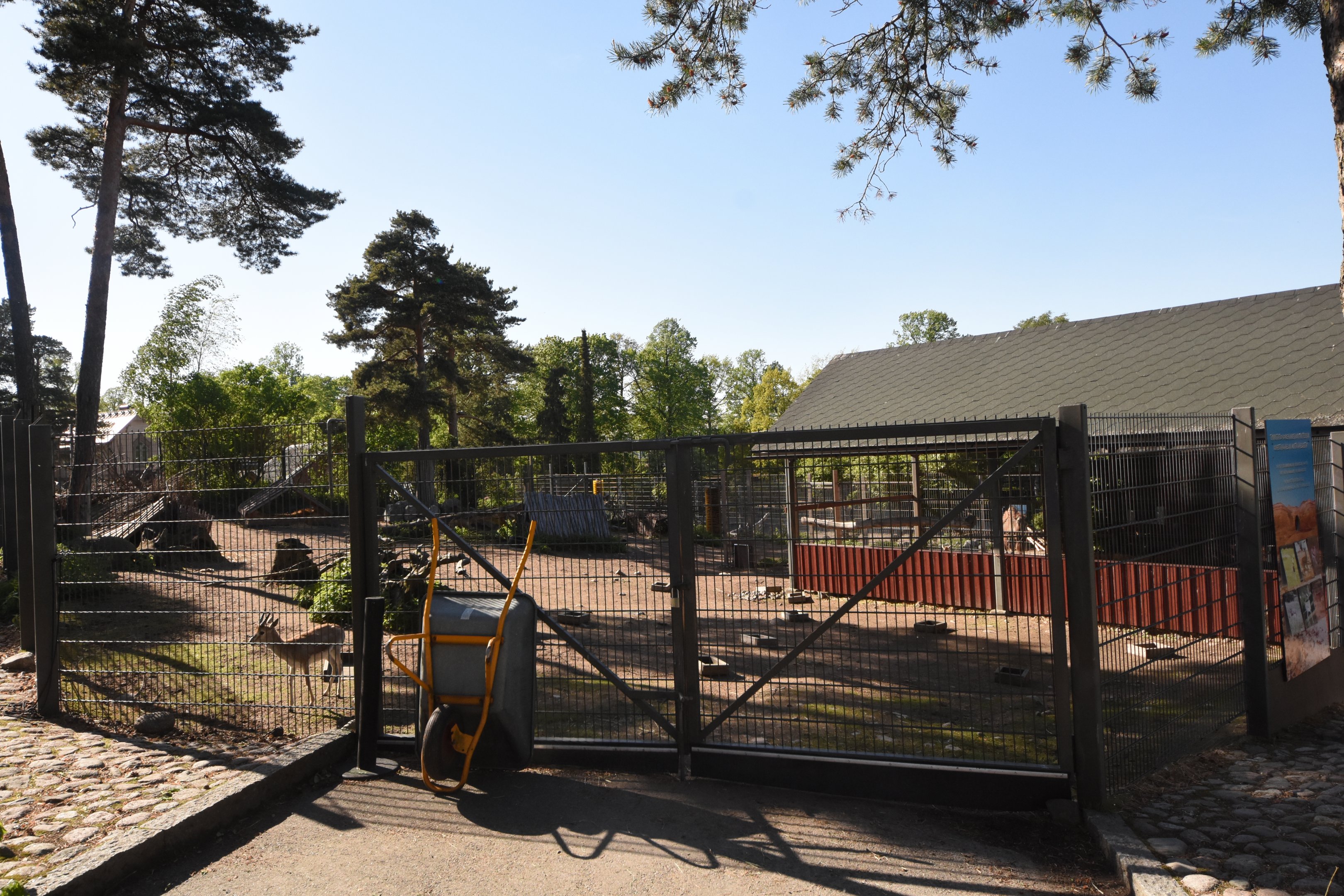 Part of Goitred gazelle enclosure