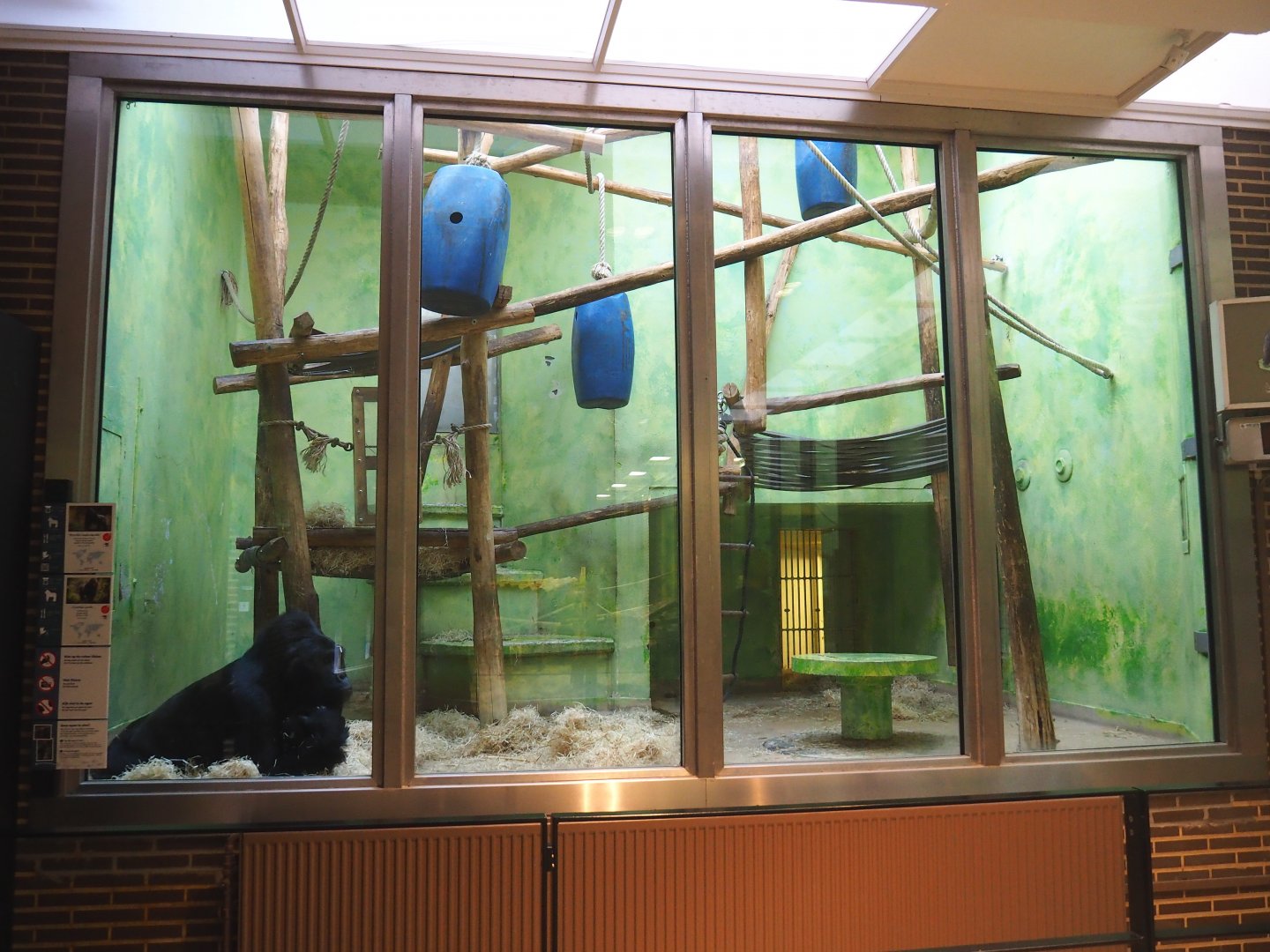 Part of gorilla indoor housing - One of two "bedroom" exhibits, 2022-05-26