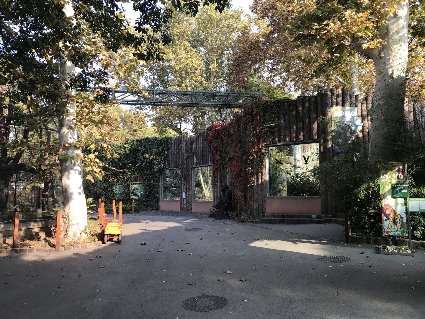 Part of Great Apes exhibit 201018