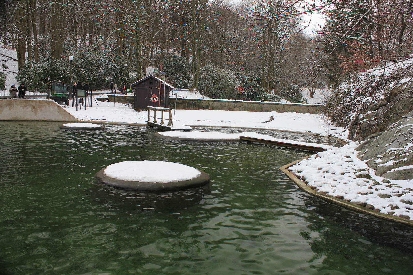 Part of Harbour seal exhibit