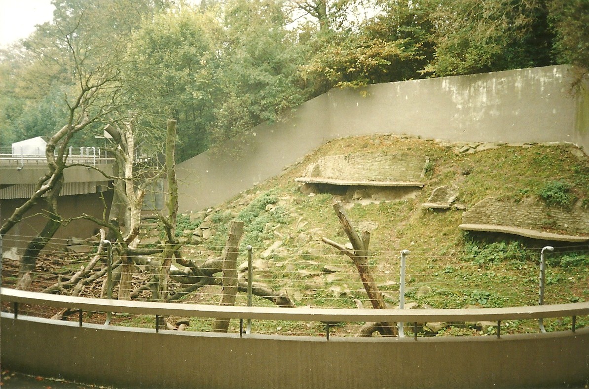Part of Himalayan Black Bear exhibit 1st November 1997