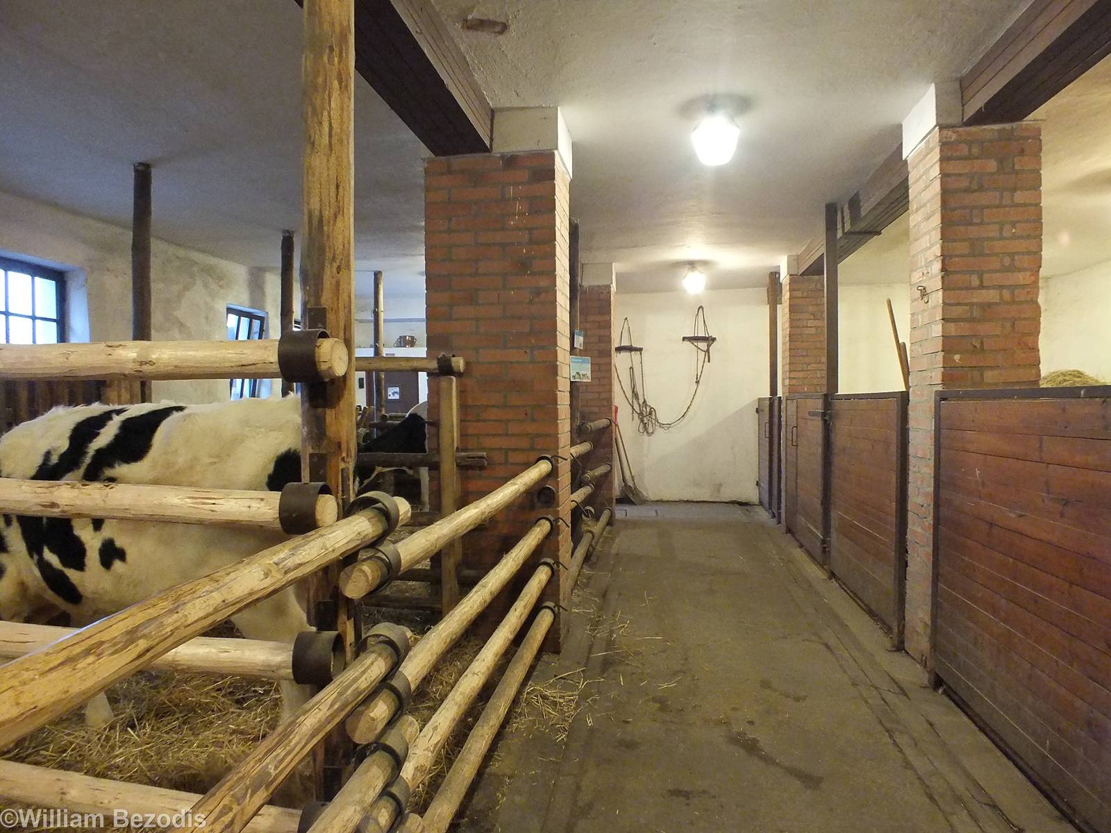 Part of Indoor Barn area at the Luftnerka Farmhouse