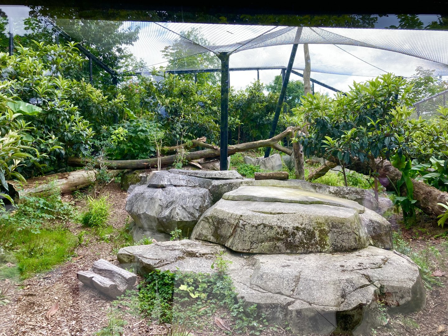 Part of Jaguar exhibit