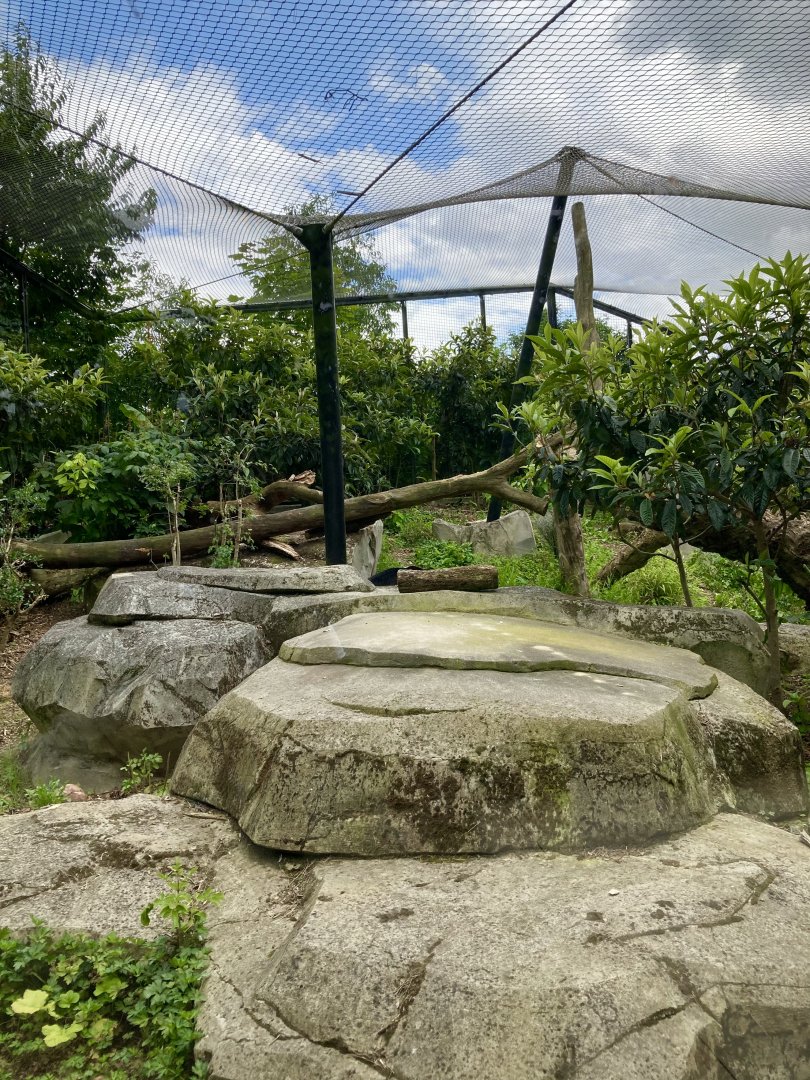 Part of Jaguar exhibit