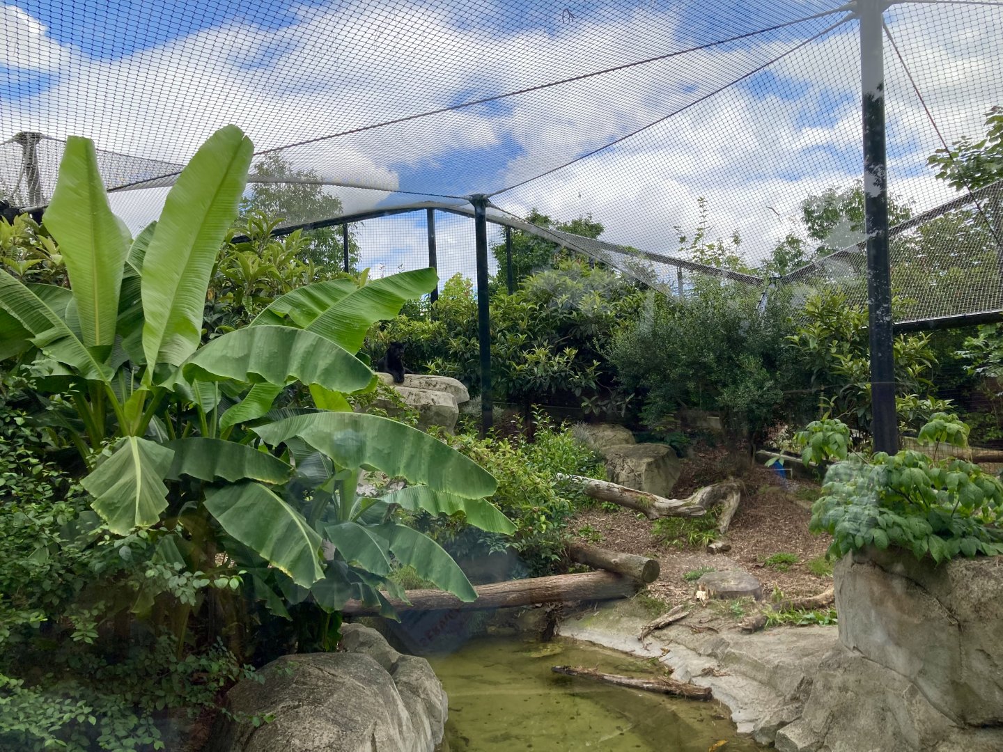 Part of Jaguar exhibit