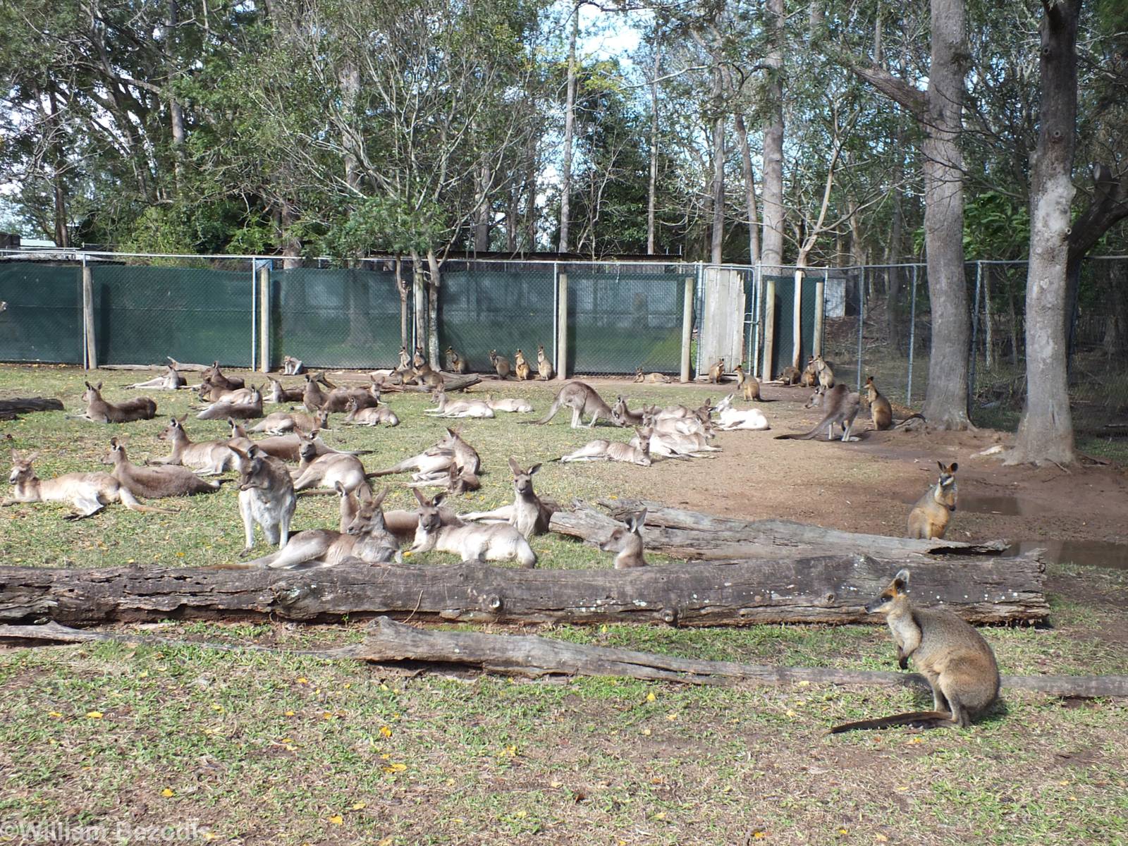 Part of Kangaroo Rest Area