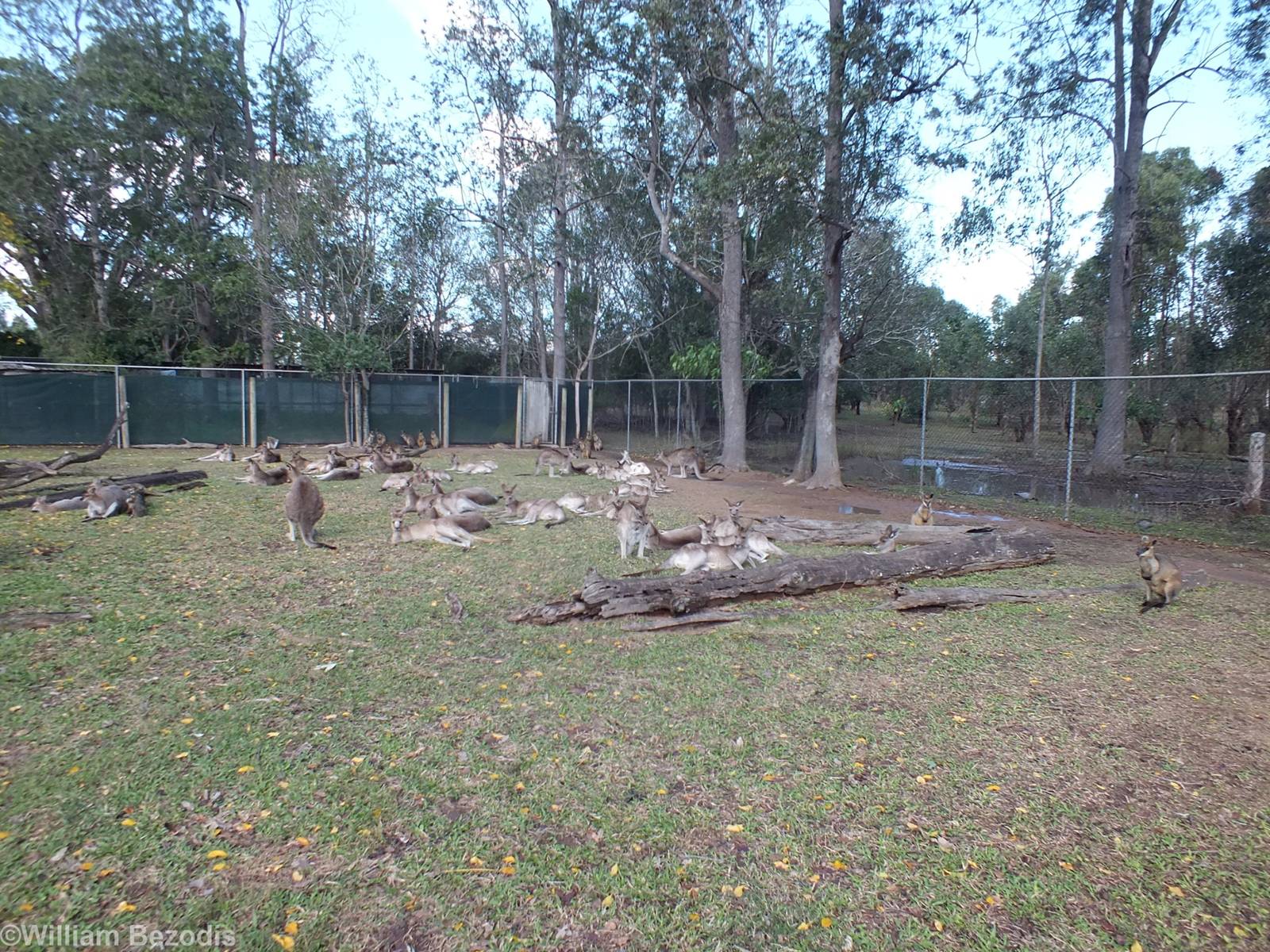 Part of Kangaroo Rest Area
