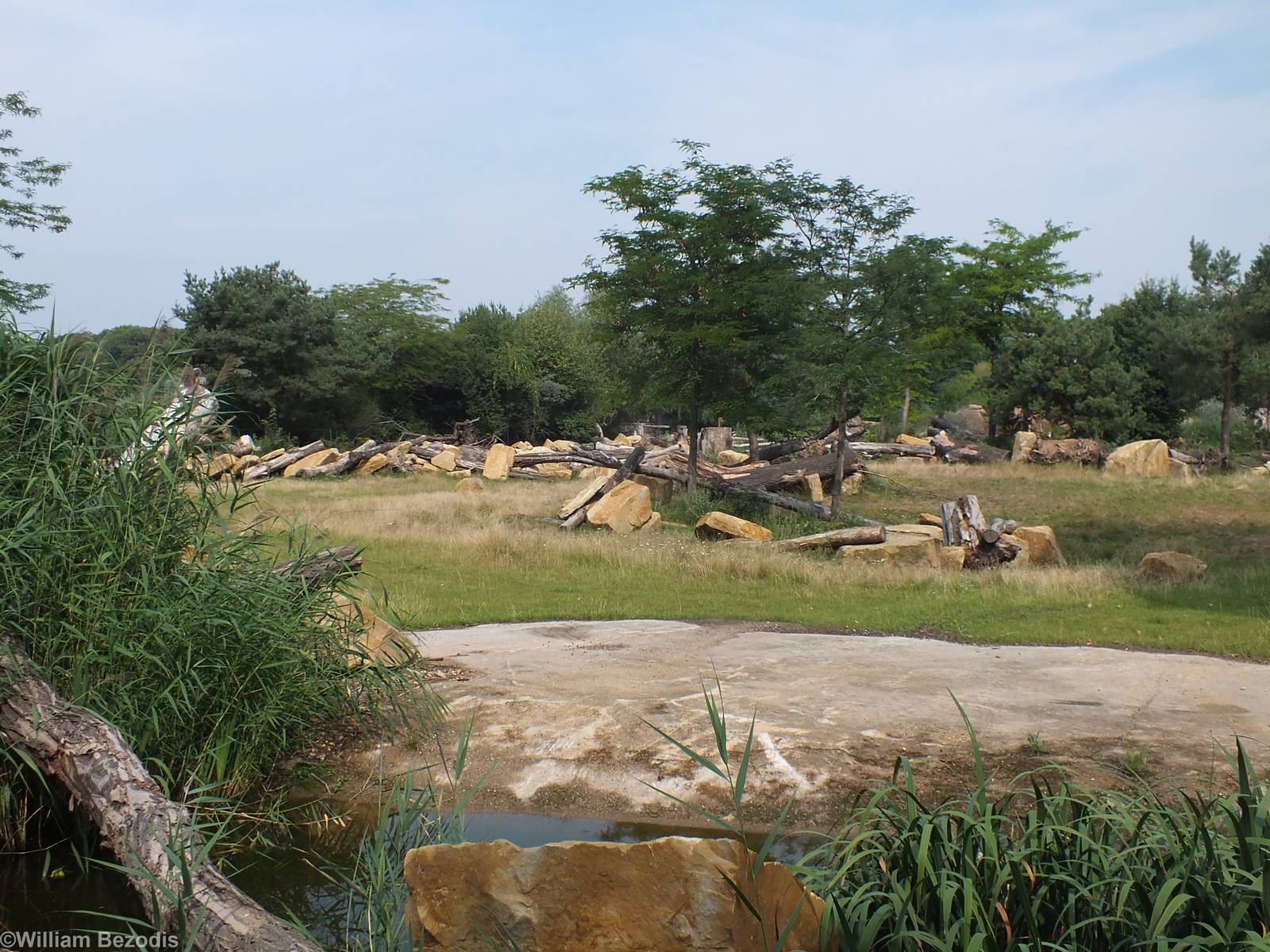 Part of 'Kiwara Kopje' - enclosure for Black Rhinos, Cheetahs and Patas Mon