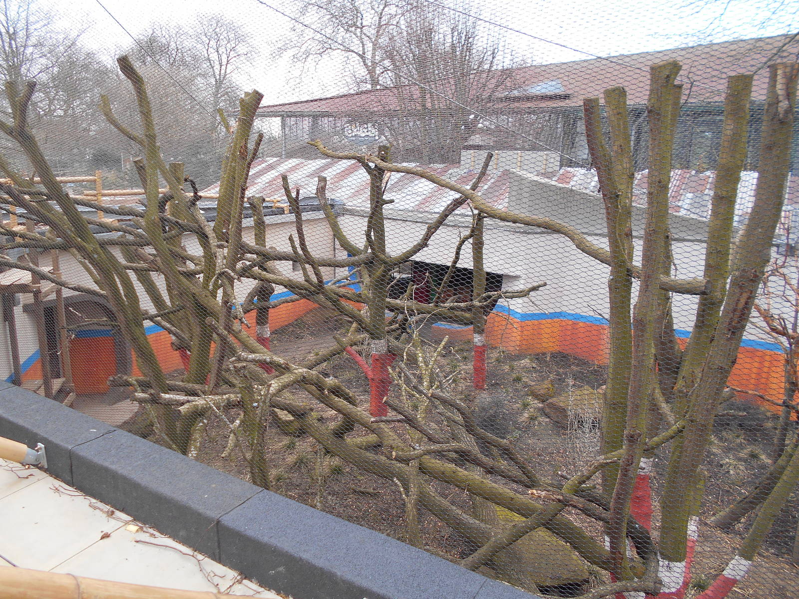 Part of Langur enclosure - Land of the Lions
