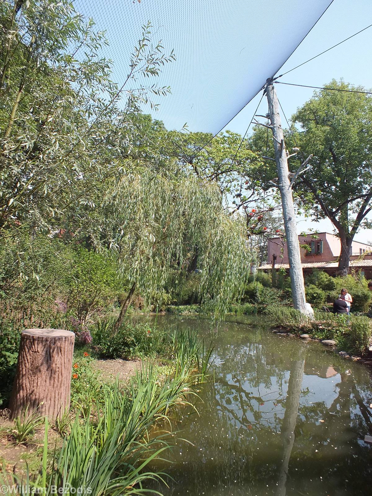 Part of Large Flamingo Aviary