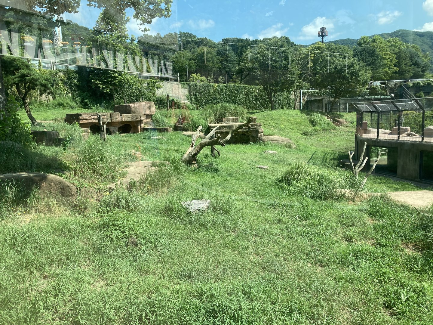 Part of Lion exhibit