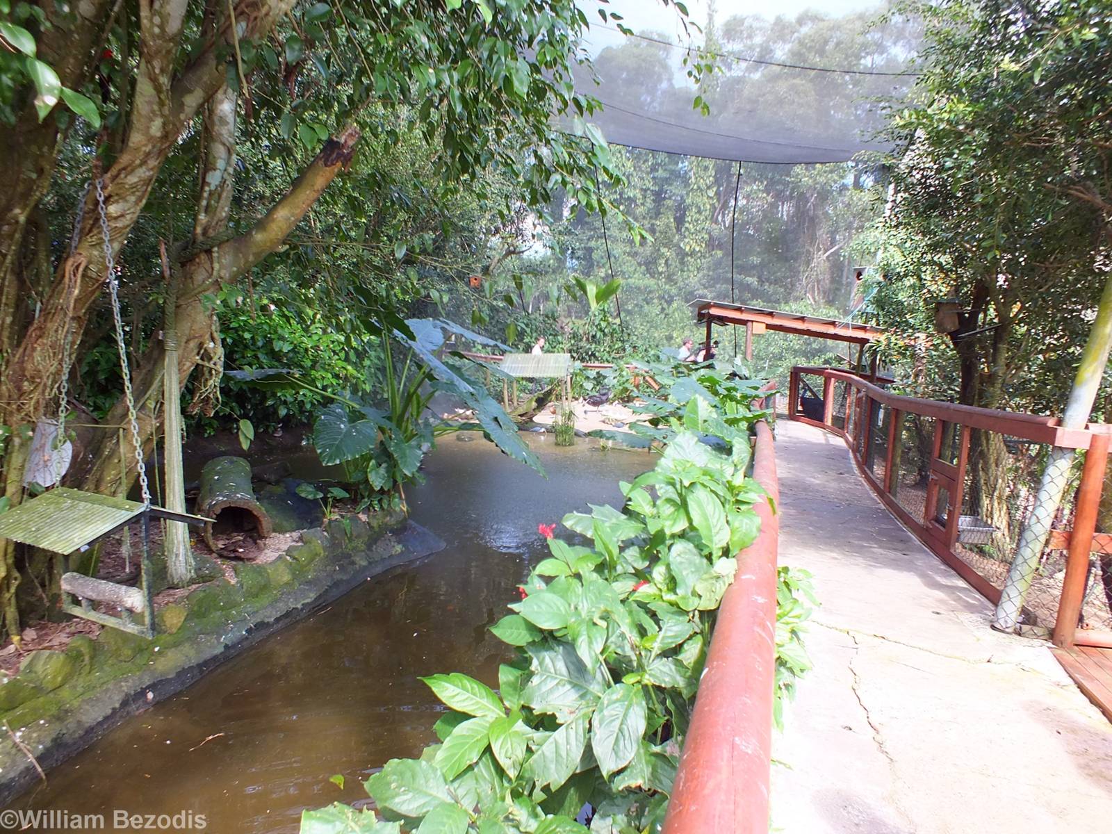 Part of Lower Area of Aviary