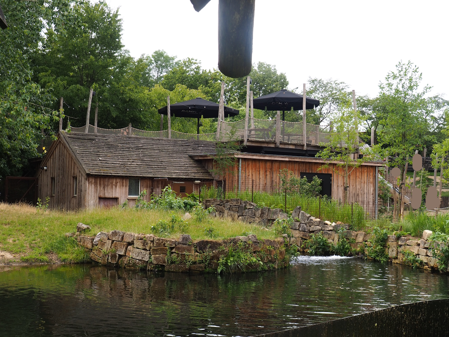 Part of lowland tapir exhibit, Tapir and terrarium building and Pampas lodge terrace, 2023-07-18