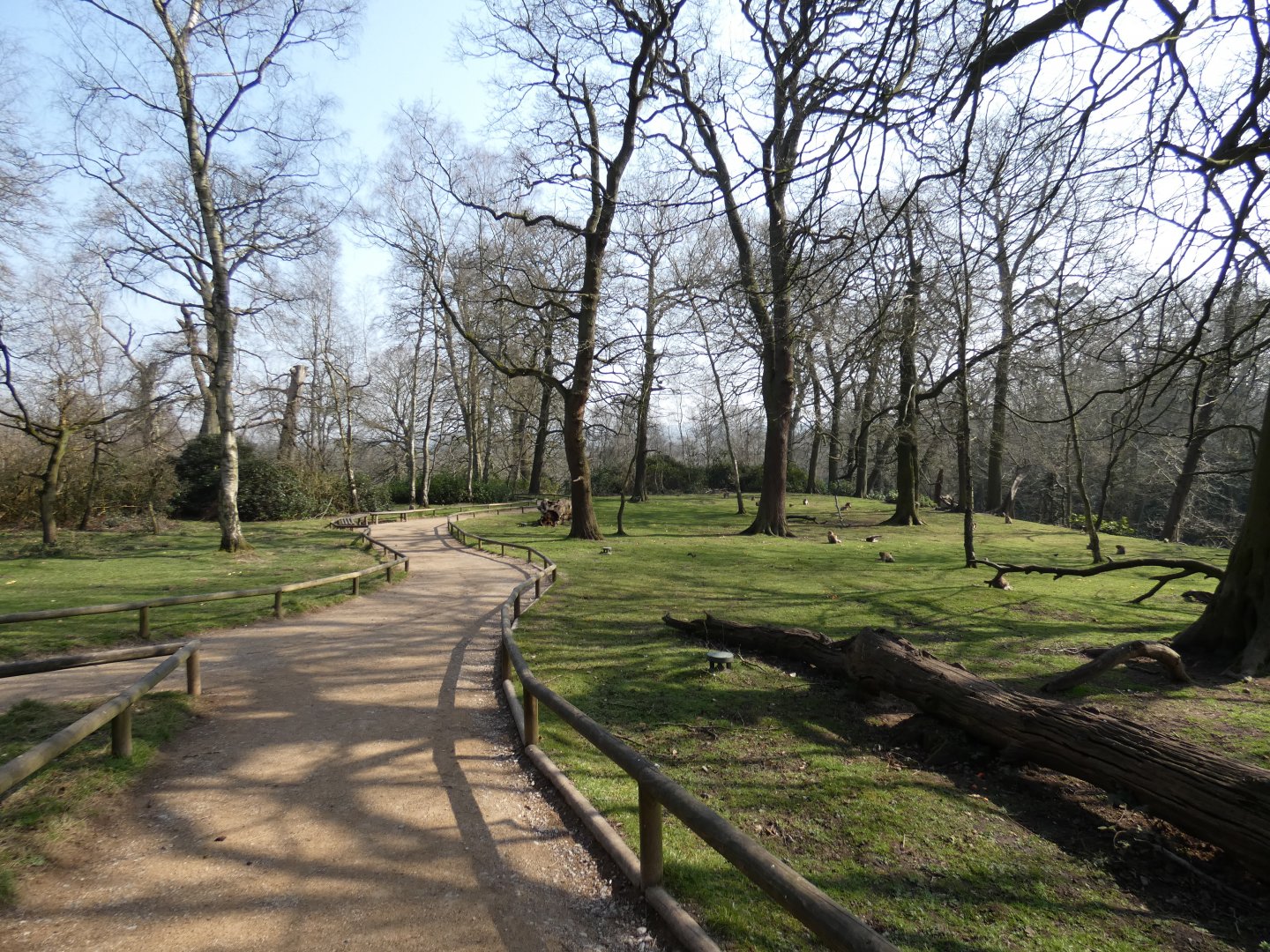 Part of macaque walk-through (2)