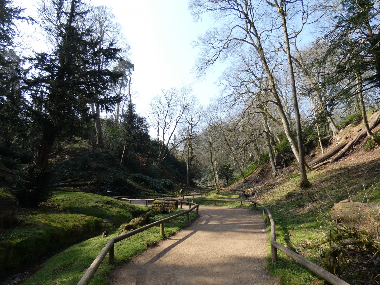 Part of macaque walk-through (3)