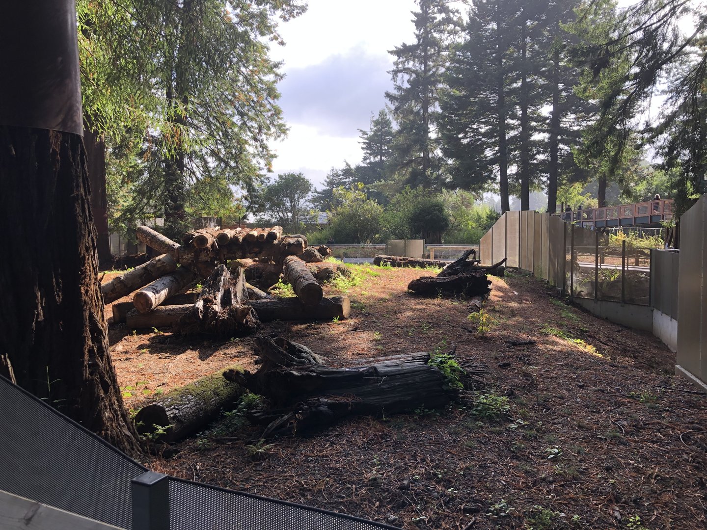 Part of main black bear exhibit