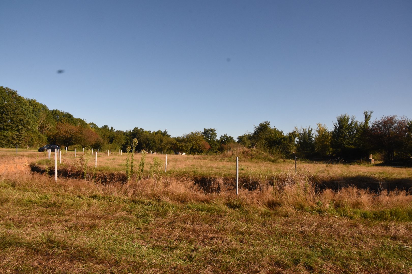 part of Malayan Tiger enclosure