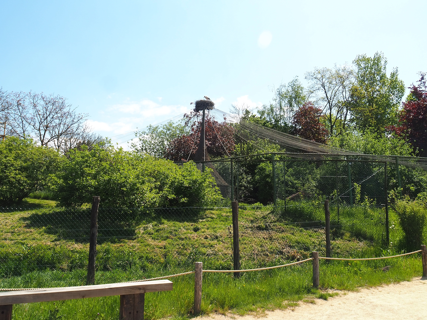 Part of Maned wolf exhibit - Former aviary, 2023-05-19