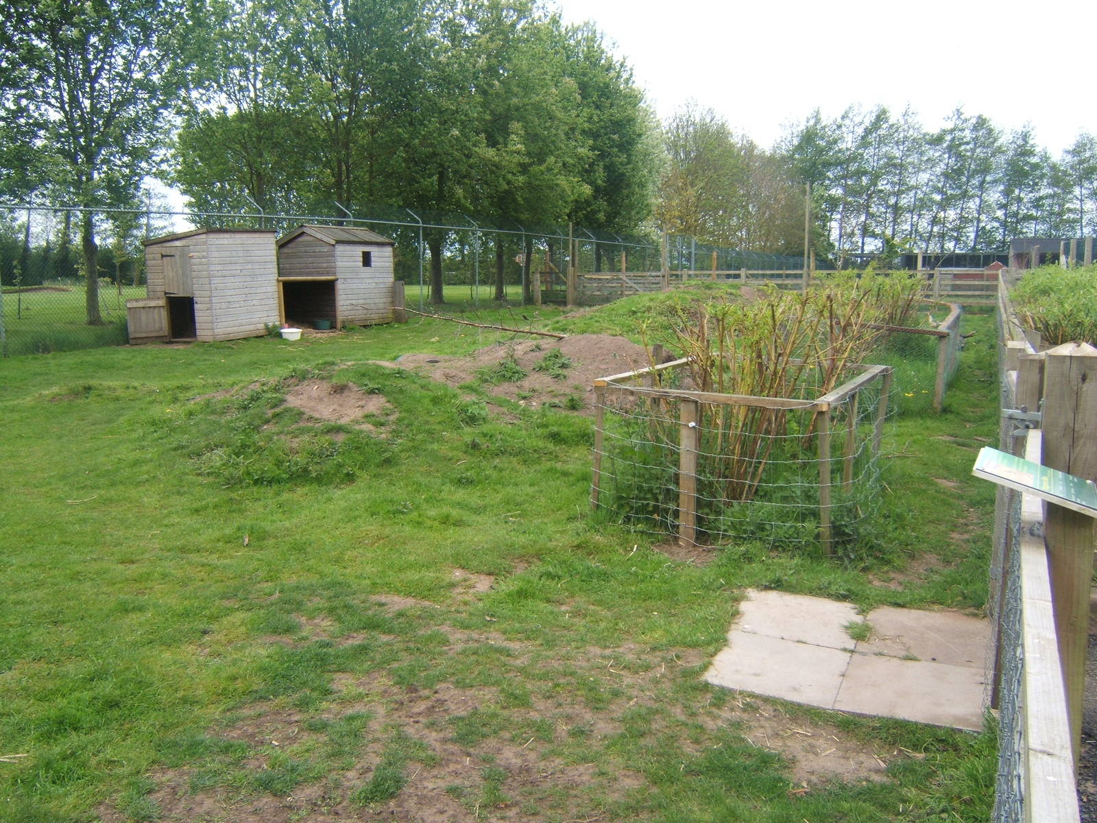 Part of Mara enclosure
