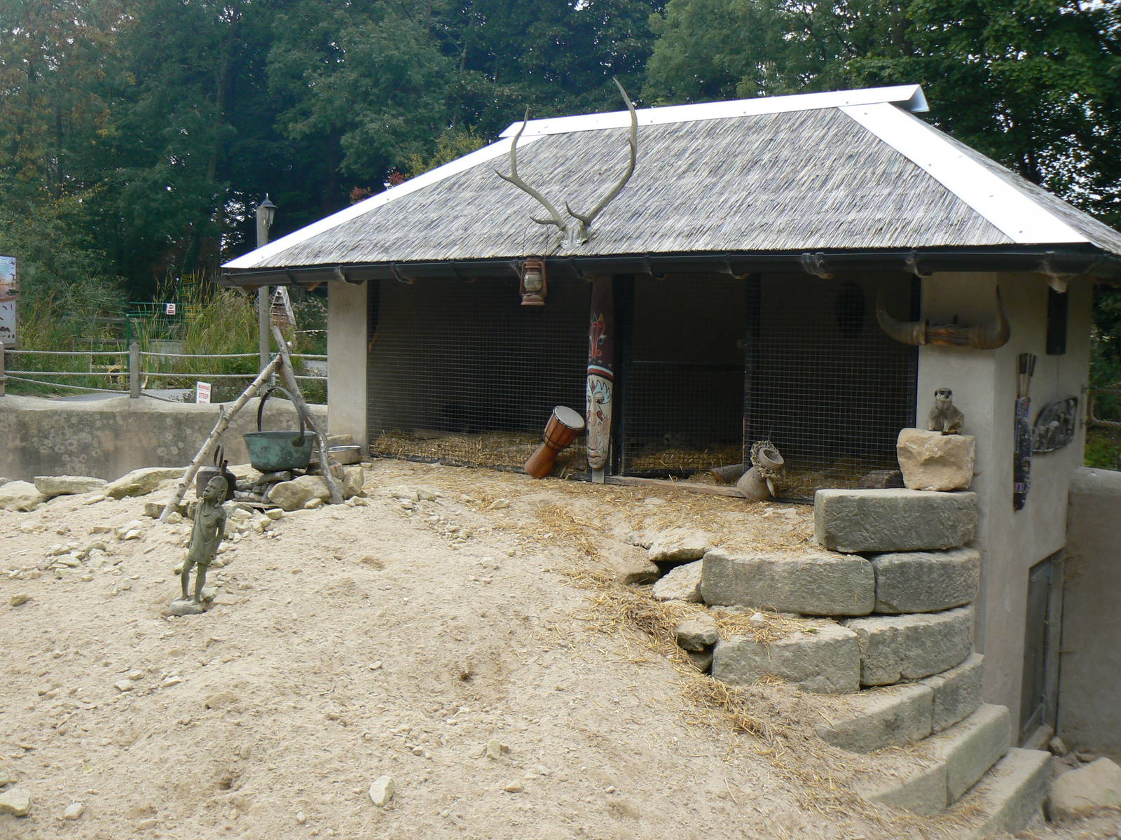 Part Of Meerkat Enclosure