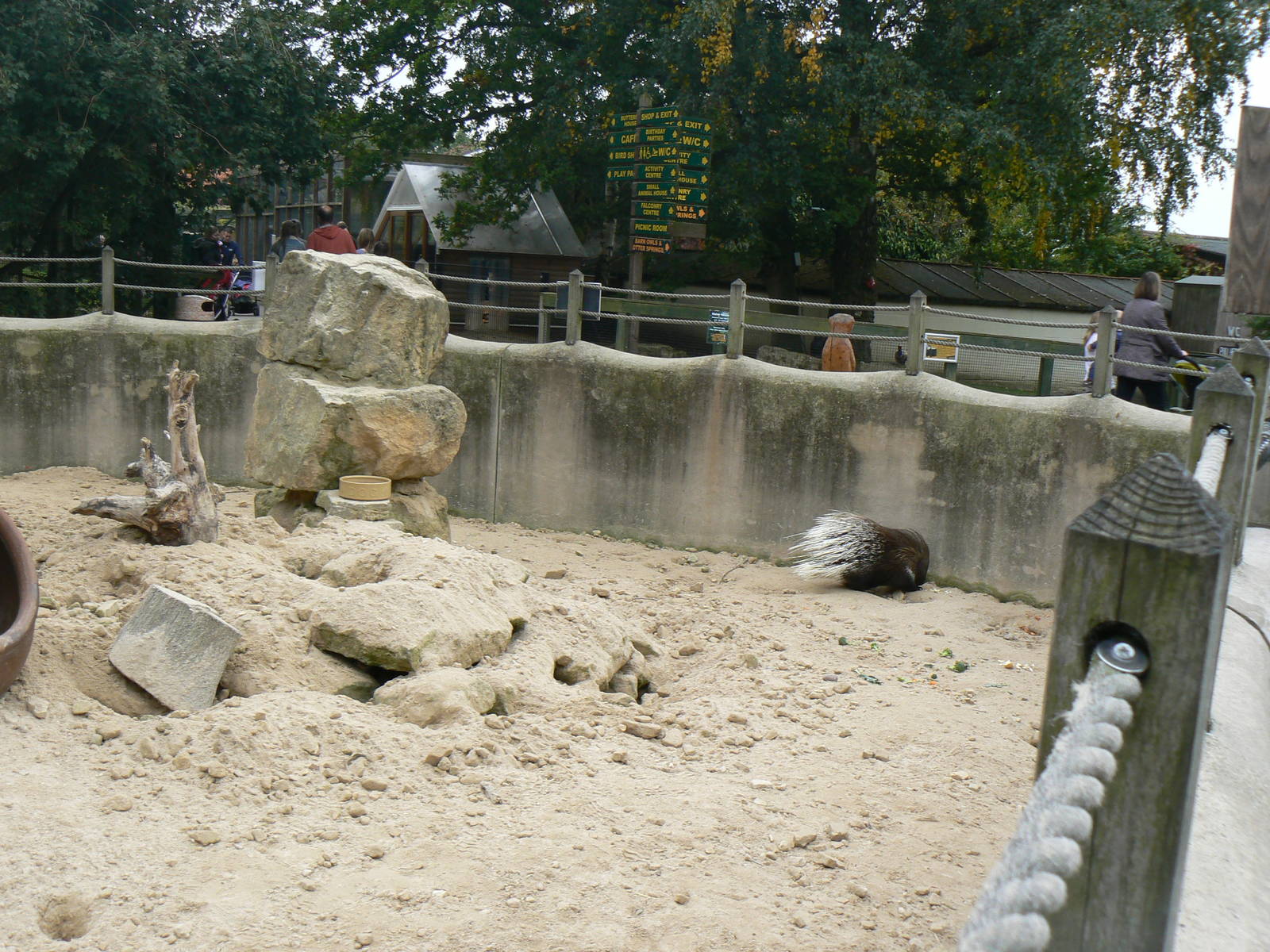 Part Of Meerkat Enclosure