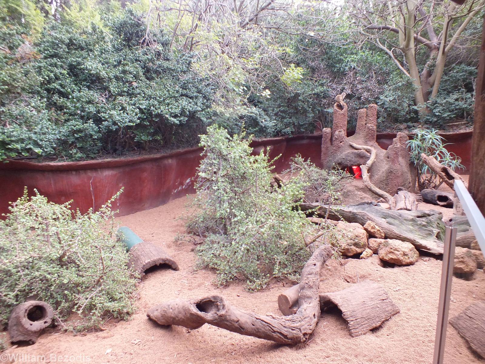 Part of Meerkat Enclosure