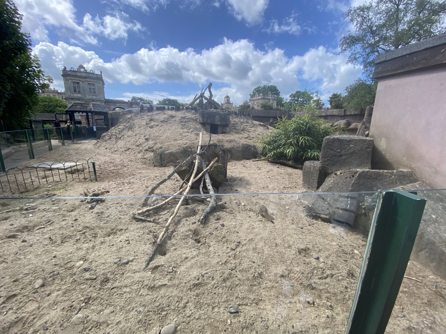 Part of meerkat enclosure