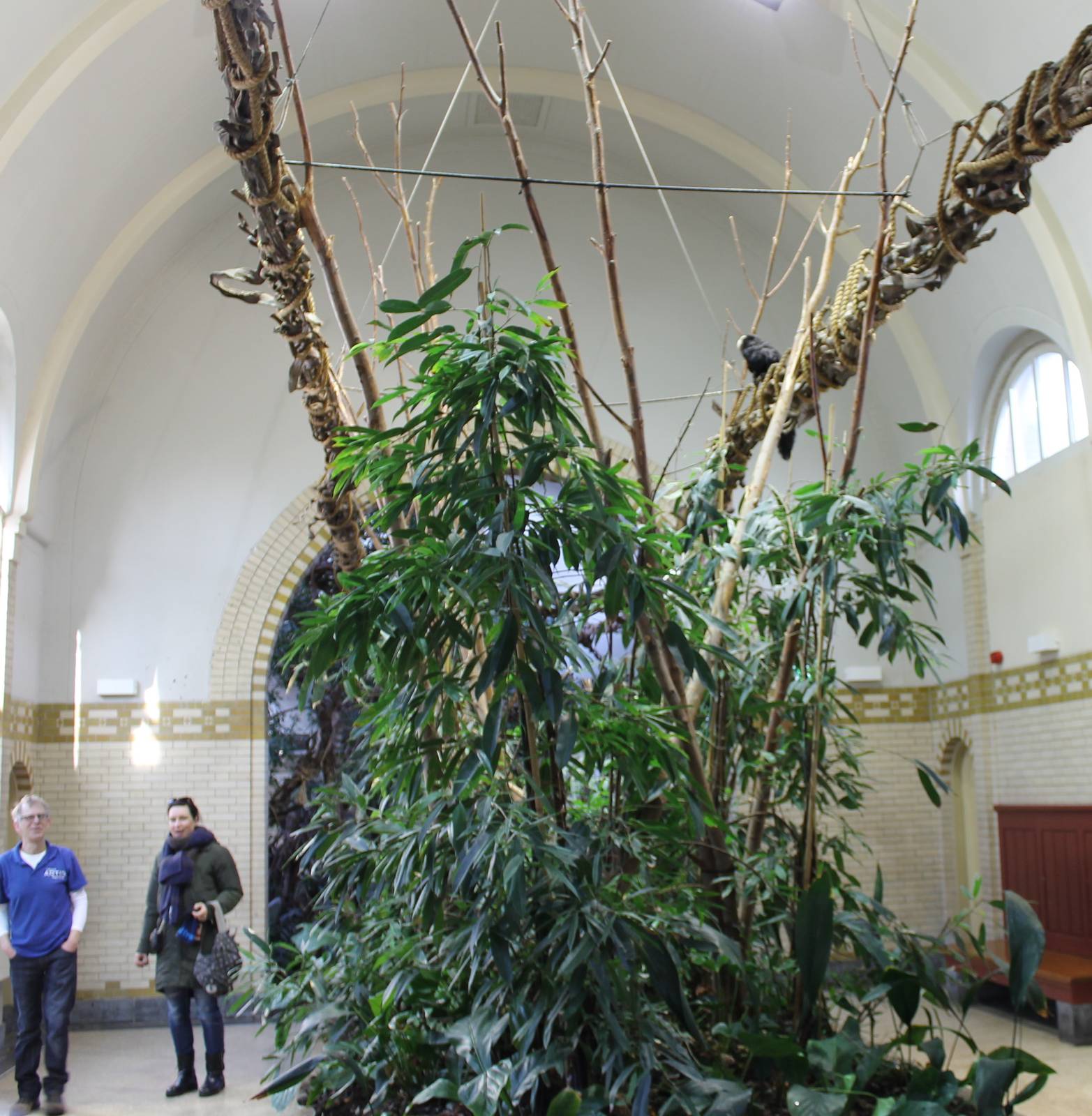 Part of Monkey house