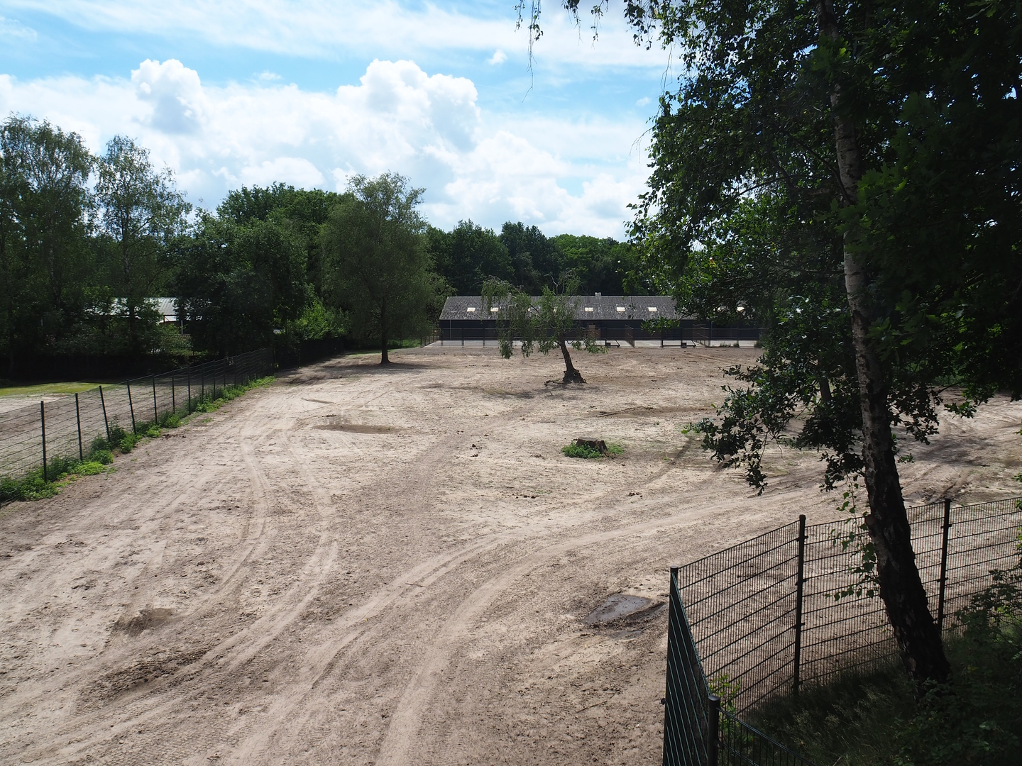 Part of multi-hectare mixed savanna paddock, viewed towards the savanna paddock stables, 2022-06-12